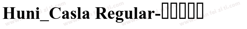 Huni_Casla Regular字体转换